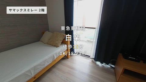 動画