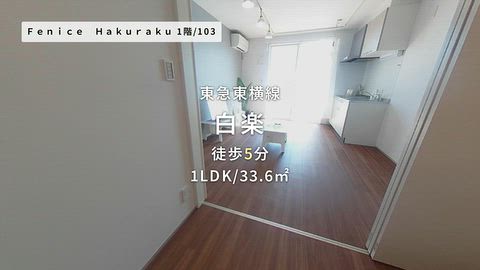 動画