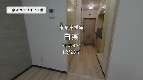 動画