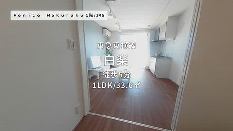 動画