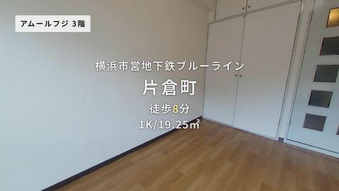 動画