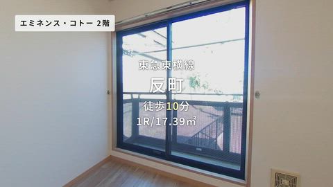 動画