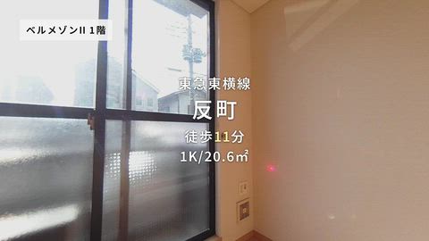 動画