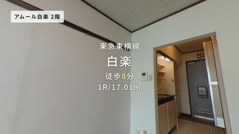 動画