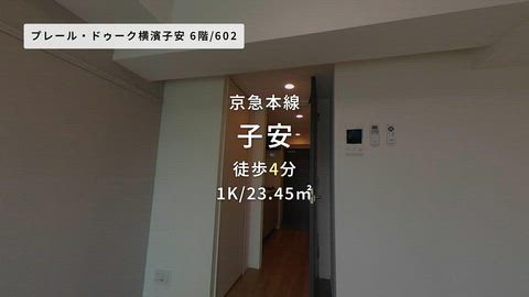 動画