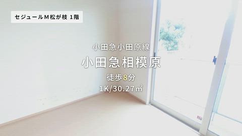 紹介ムービー