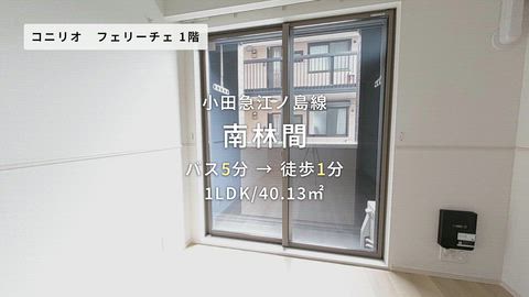 紹介ムービー