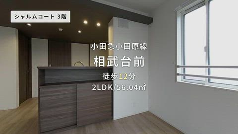 紹介ムービー