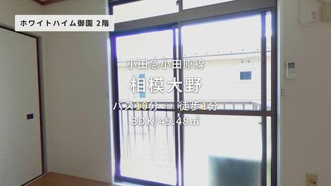 動画