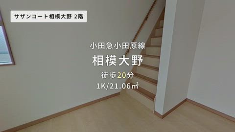 動画