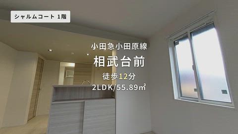 紹介ムービー