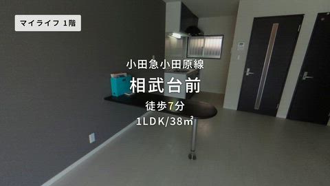動画