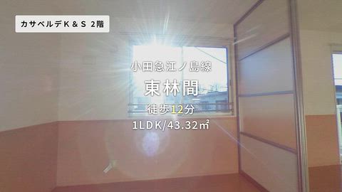 動画