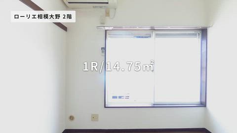 紹介ムービー