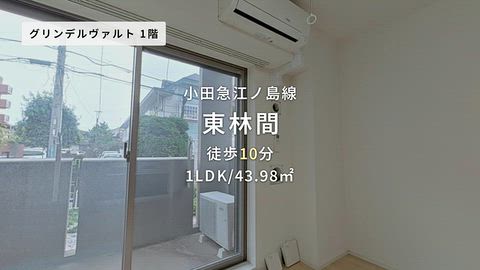 動画