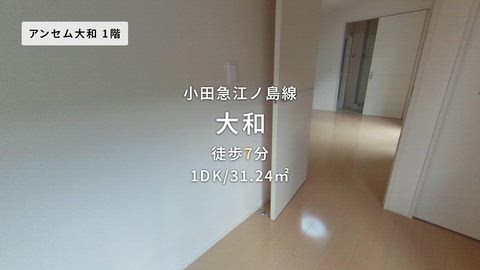 動画