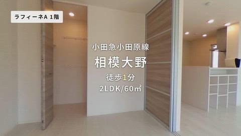 紹介ムービー