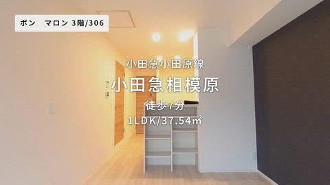 紹介ムービー