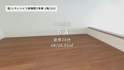 動画
