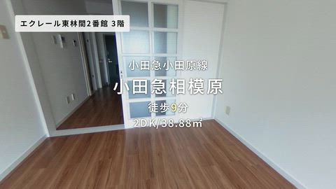 紹介ムービー
