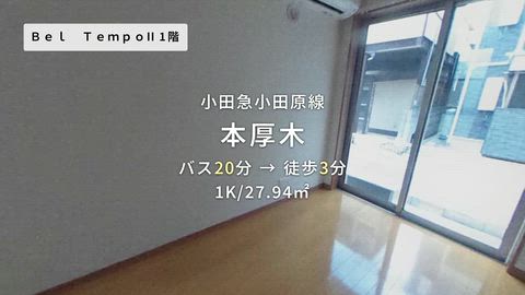 動画