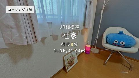 動画