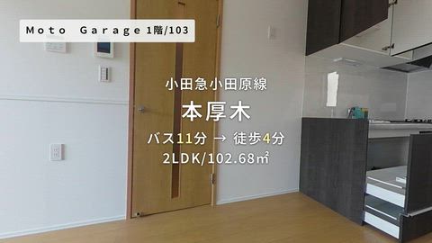 動画