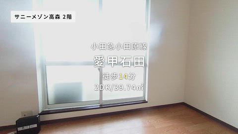 動画