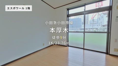 動画