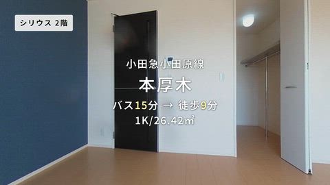 動画
