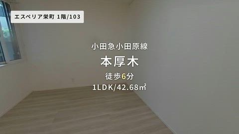 動画