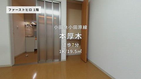 動画