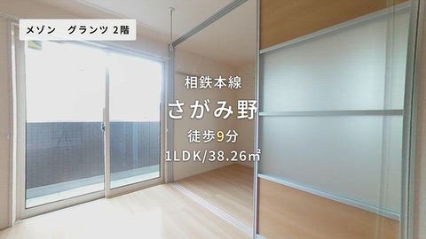 動画