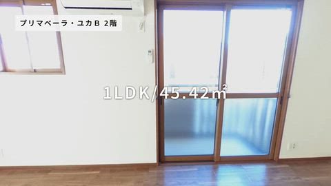 紹介ムービー