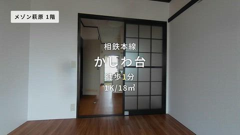 動画