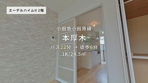 動画