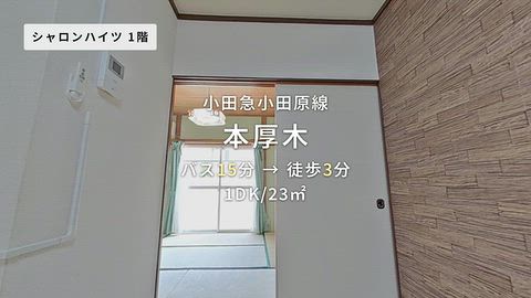 動画