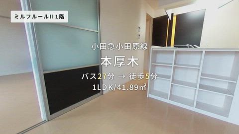 動画