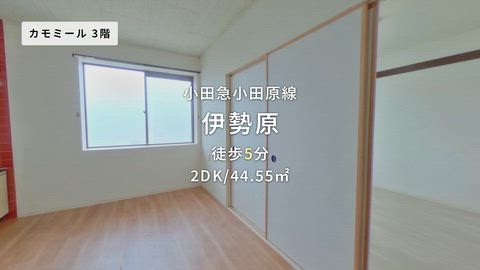 紹介ムービー