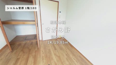 動画