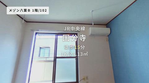 動画