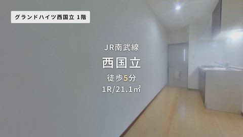 動画