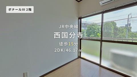 動画