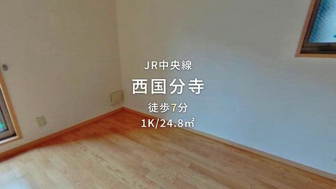 動画