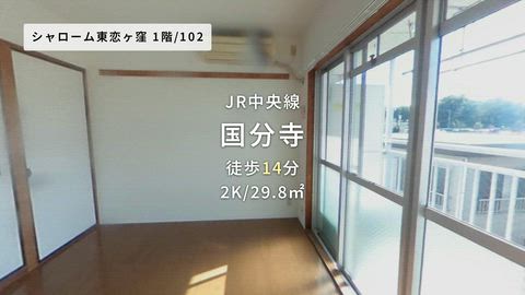 動画
