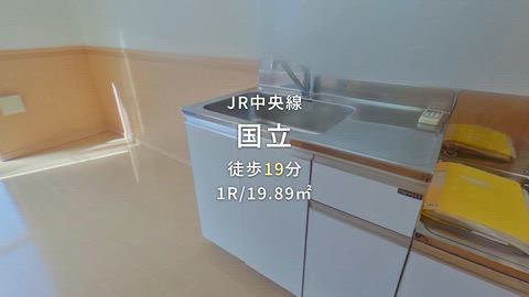 動画