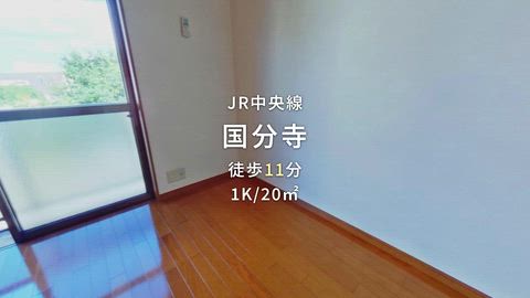 動画