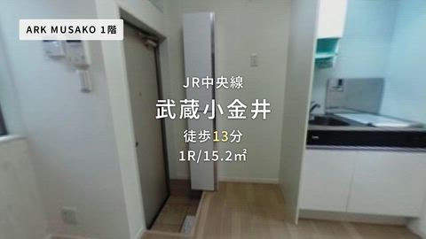 動画