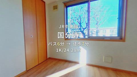 動画
