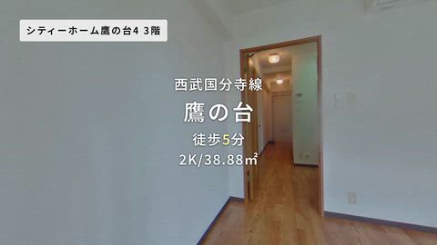 動画